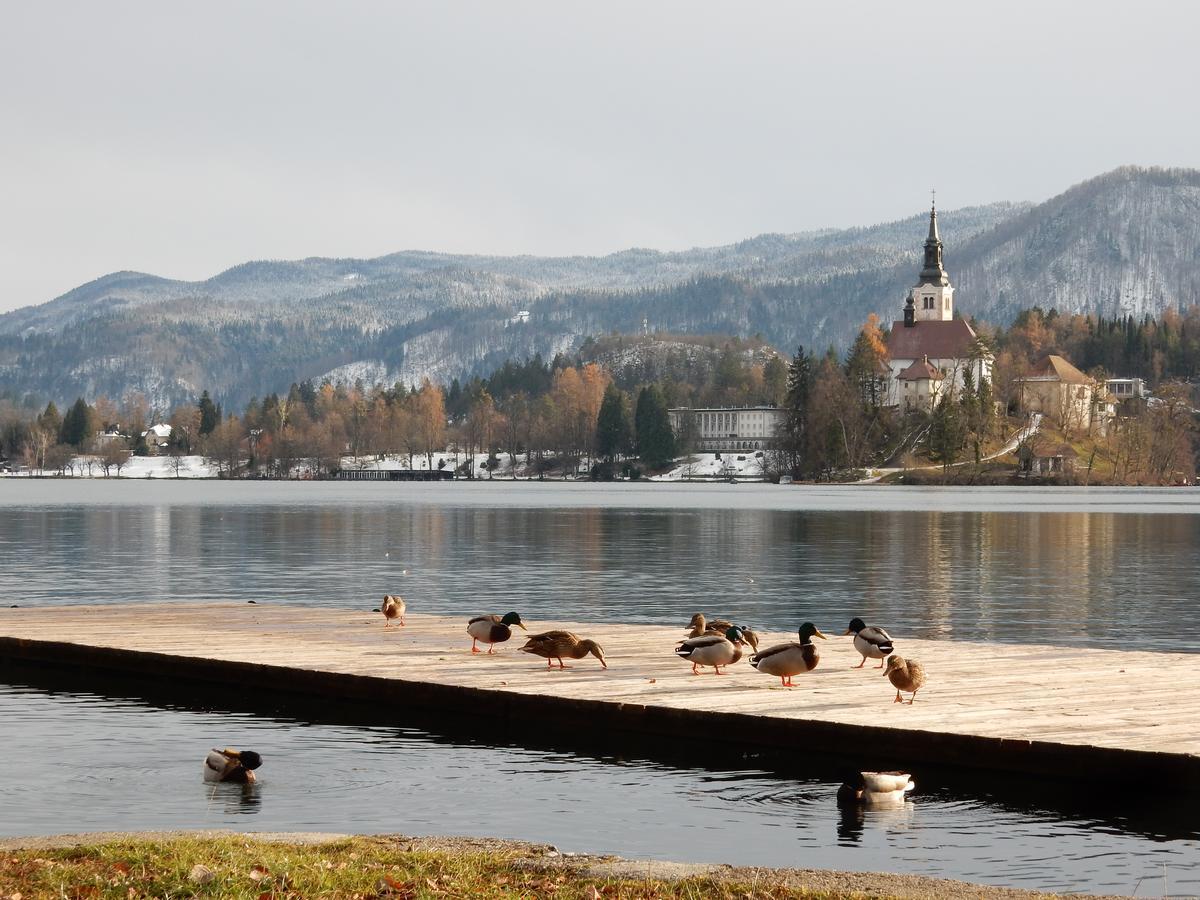 Lake House Sebanc Блед Экстерьер фото